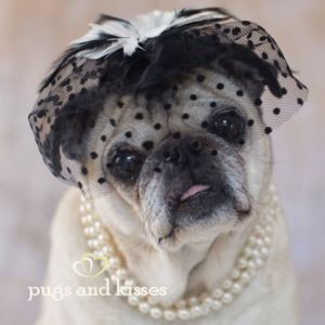 Meet your Posher, K.a.